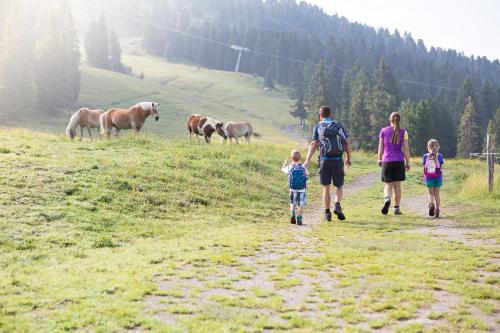 Sports and activities, Appartmenthaus Martina in Zell am Ziller