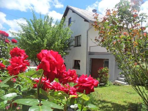  Guest House Olbina in Korenica