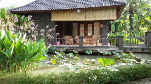 Natural 1 Bedroom lodge - Balian Beach