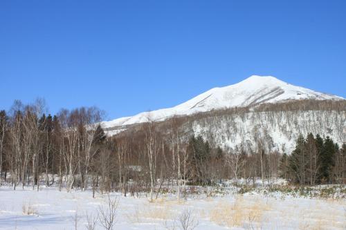 Hotel Murah di niseko