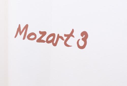 Salzburg Residence Mozart by Welcome-to-Salzburg - image 2