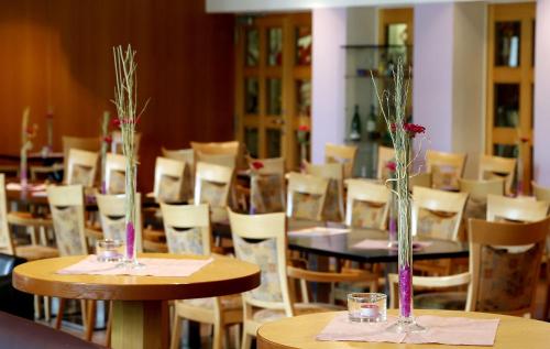 酒吧/高級酒吧, 斯坦巴赫/陶努斯會議和教育中心酒店 (Tagungs- und Bildungszentrum Steinbach/Taunus) in 陶努斯山區克龍貝格