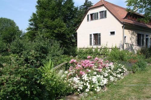 Poncet´sches Herrenhaus, Drezno (zdjęcie 2)