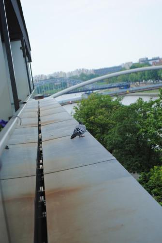 Apartament nad Wisłą, Cracovie (photo 6)