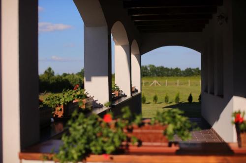 Градина, Csaronda Vendegház (Csaronda Vendeghaz) in Csaroda