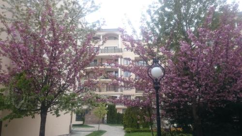 Krassy summer apartment - main image