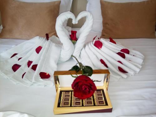 Hotel EleganceHotel Elegance's photo