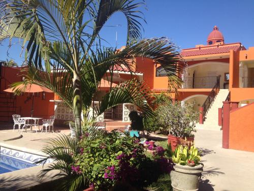 Dārzs, Hotel Oasis in Ciudad Constitucion