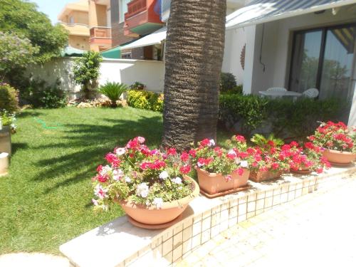 Hotel L'Approdo - image 9