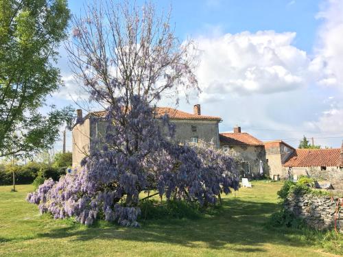 Wisteria House