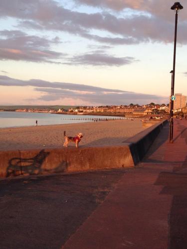 Edinburgh Seaside Apartment 5