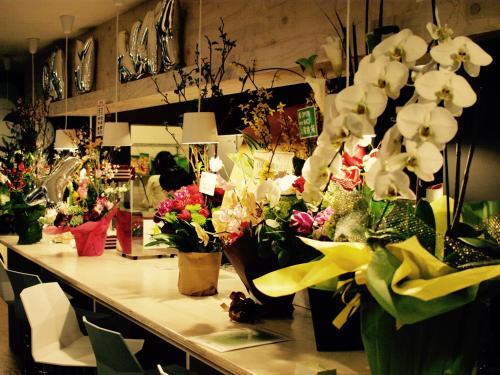 共用ラウンジ/TVエリア