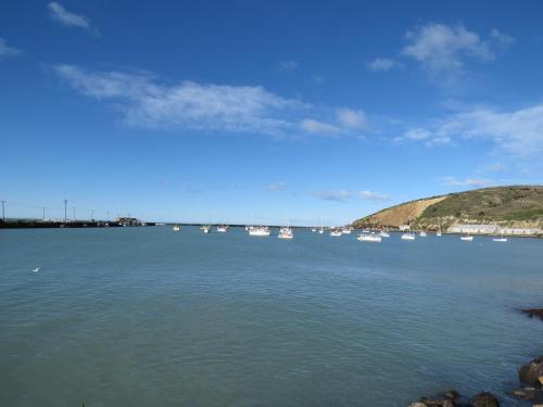 Oamaru Harbour Nest