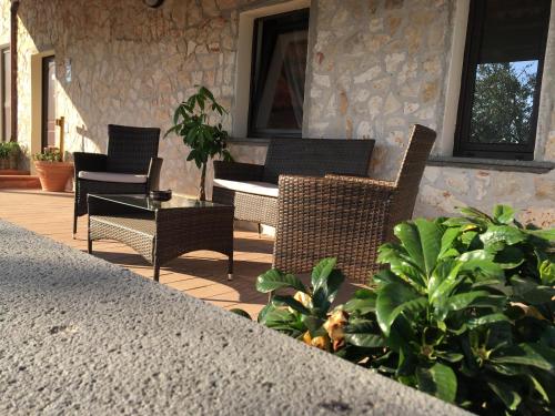 Tenuta Ferrara - image 10