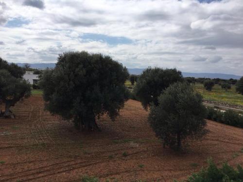 Villa Anna – Savelletri di Fasano, AR