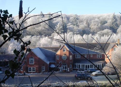 Fox & Hounds Country Hotel - image 2