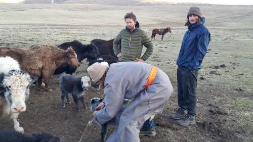 Vast Mongolia Tour & Hostel