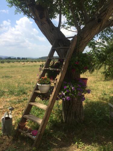 Domaine De Camp Joyeux photo 22