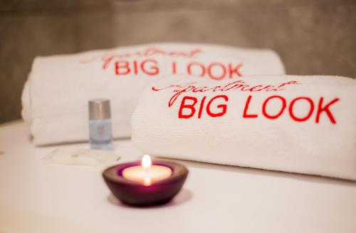 Apartment Big Look - image 14