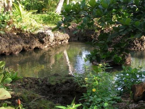 Piscina Natural on the Sea Cahuita