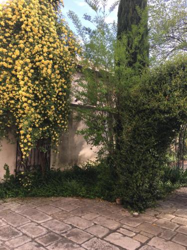 Alla Locanda Del Cinquecento