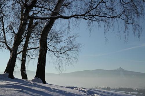 Apartma Marcella Liberec - main image