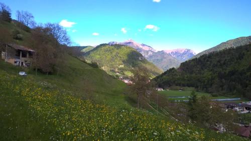 B&B ai Pini - Accommodation - Tiarno di Sopra