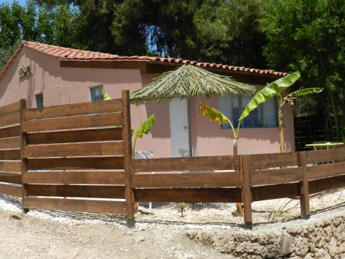  Turtle's nest in Vasilikos