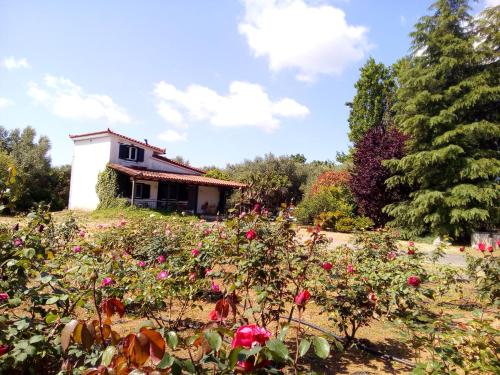  Beautiful cottage with a rose garden, Oikhalía bei Andritsena