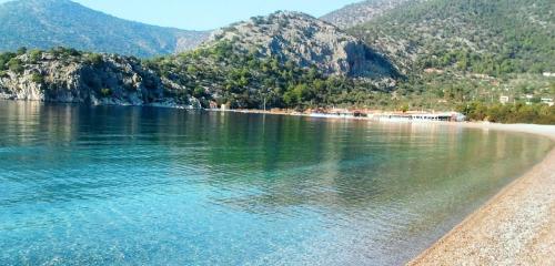 Beachfront self-catering studios in Psatha Bay - 60km from Athens - Psatha