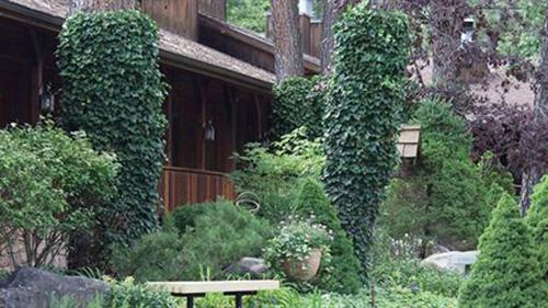 Shadow Mountain Lodge and Cabins - 정원