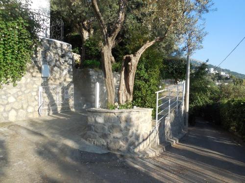 Villa with Sea View image 9