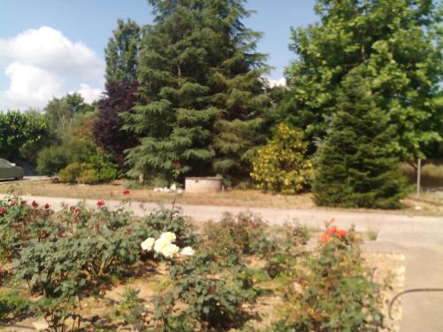  Beautiful cottage with a rose garden in Oikhalía