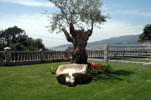 Hotel Liñares - image 2