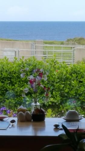 Ocean Heights B&B - image 7