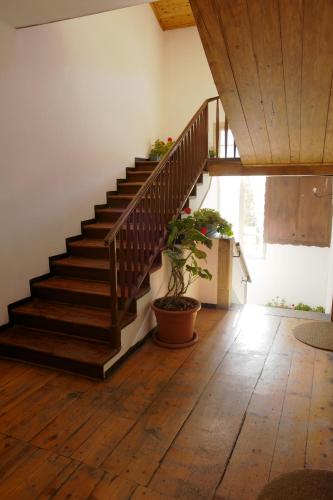 B&B Vecchio Borgo 4