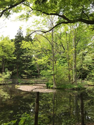 周辺観光スポット