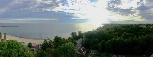 Cruise Hotel - image 2