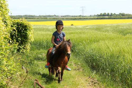 Skovlide Beautiful Farmhouse in Edslev