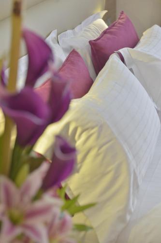 Unic Renoir Saint Germain - image 5