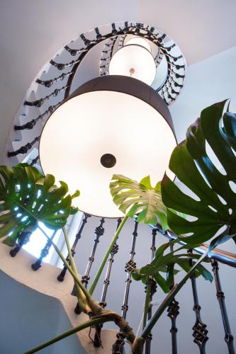 Boutique Hotel Adria - image 2