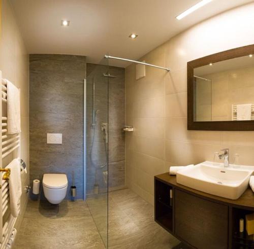 Hotel Alpina - image 6