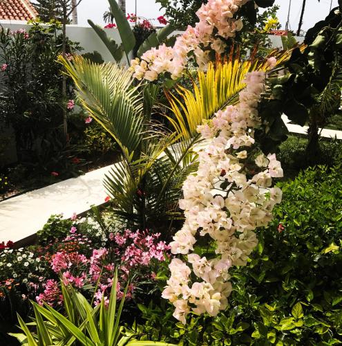 Villa Adler Gay Men Only - image 8