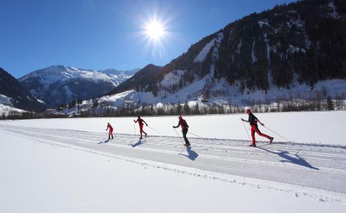 Appartementhaus Alpenpark - image 11