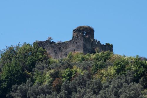 La Vecchia Quercia - image 3