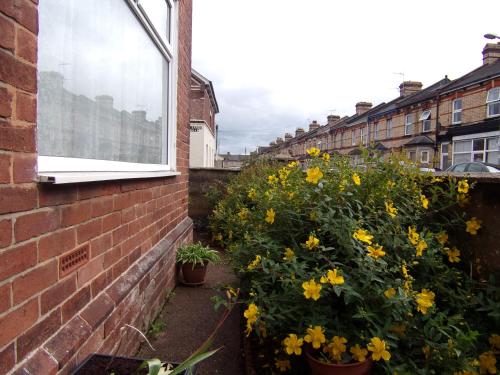St Anne's Road Guest House - image 2