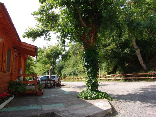 Camping Ribera del Ara