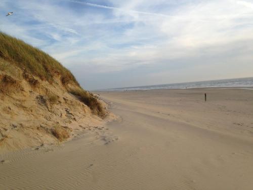 Beachhouses Texel - image 4