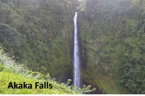 Aloha Big Island Paradise