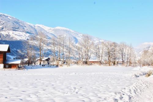 สภาพแวดล้อมโดยรอบ, Apartments Leni in มายร์โฮเฟน